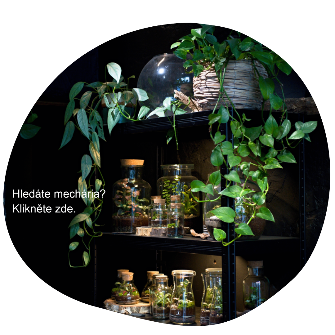 web mechária milujeme mech